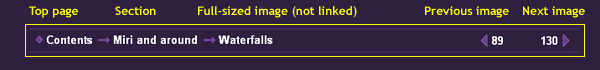 Navigation Bar